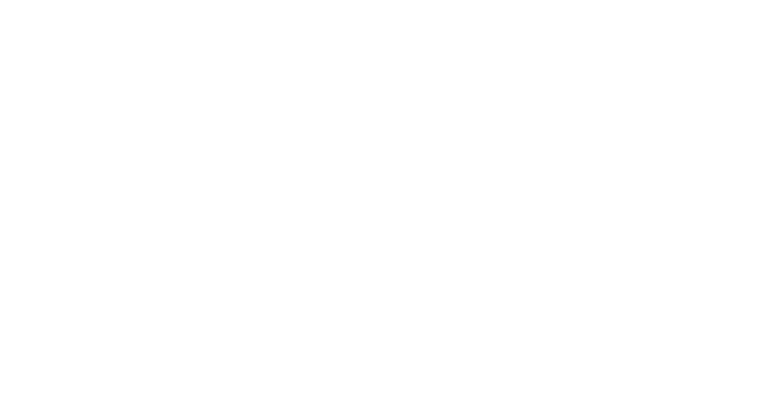 MPD — Marketing Político Digital